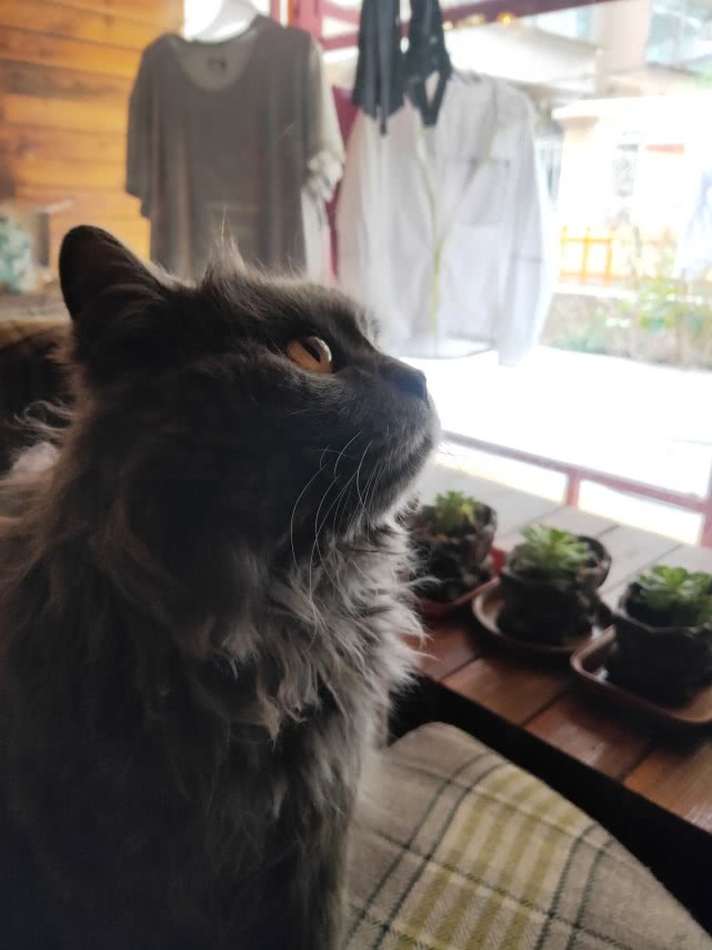 青海湖最美公路在哪,青海湖附近小众秘境