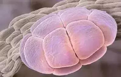 神话里有哪些神仙出现,神话中的科学现象