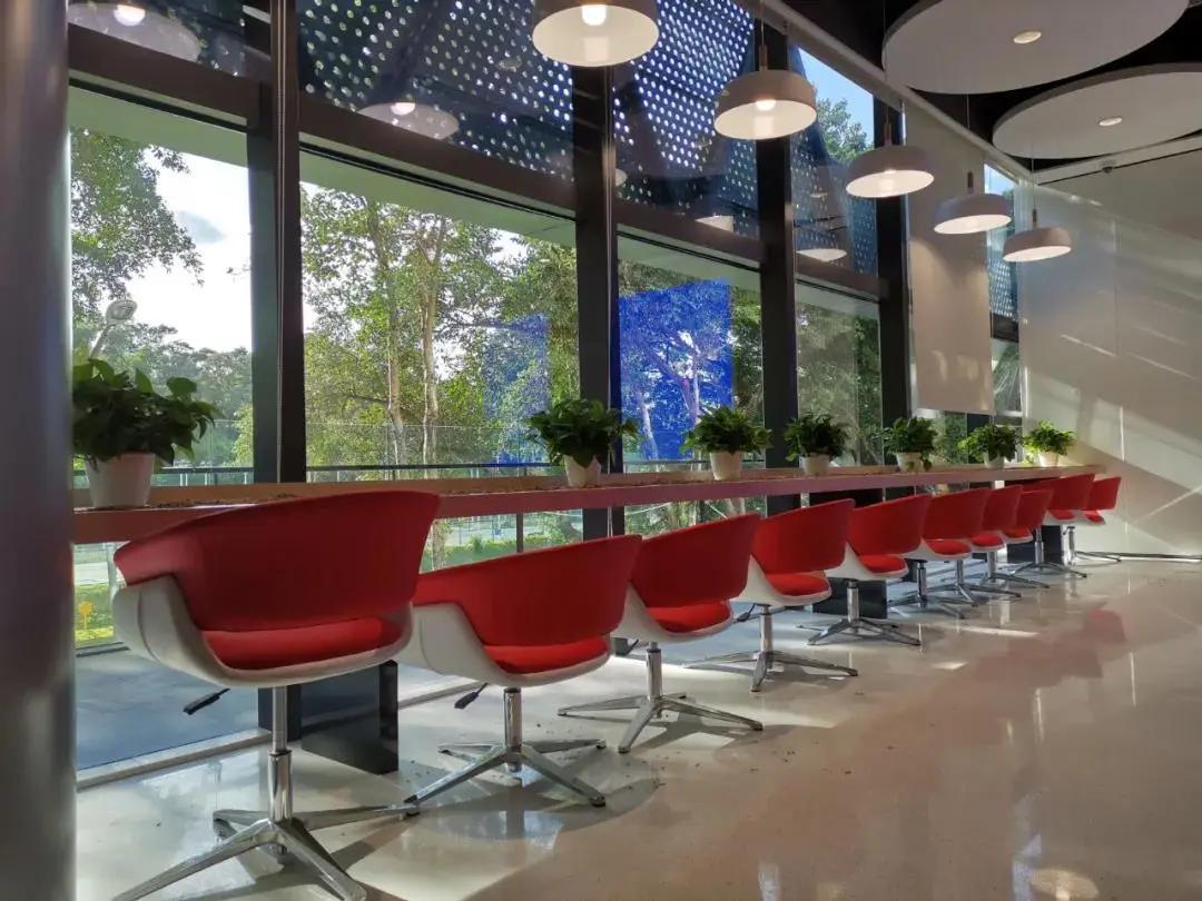 玫瑰花海里领结婚证！罗湖区婚姻登记处新址的设计有点甜！