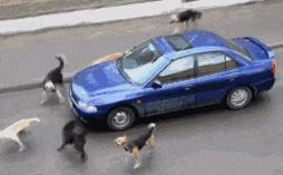 老婆包里发现的卡,老婆牙疼的特效药