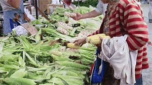 疫情之下的巨婴现象,疫情下的巨婴怎么样了