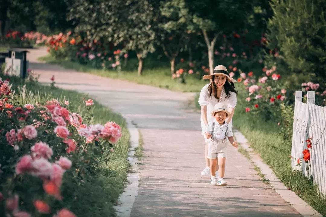 北京菊花花海,北京赏花好去处国际花港