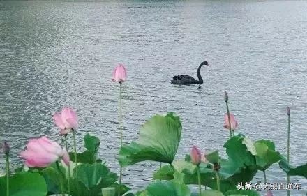 无锡夏天避暑的地方,无锡附近暑假避暑旅游好去处