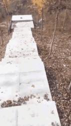 拔河比赛搞笑视频开心一刻,拔河搞笑动图