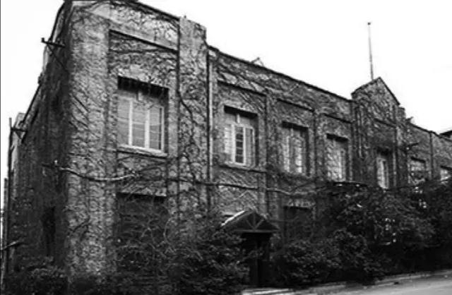 打底白t怎么选尺码,可以单穿一件打底白t吗