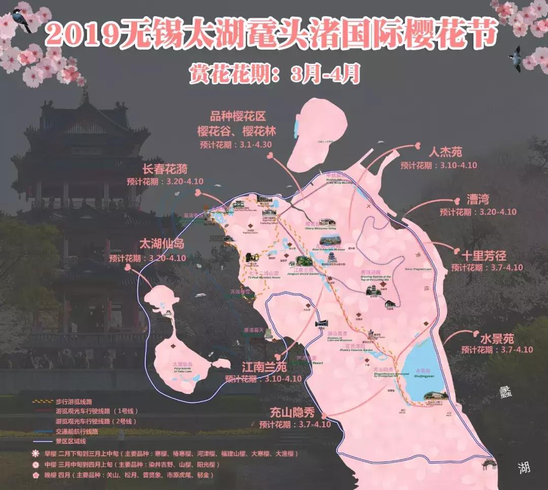 染井吉野樱花江浙沪,染井吉野樱花期10天