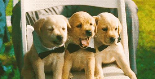 脚丫脚气痒怎么治,脚气脚痒生活小妙招