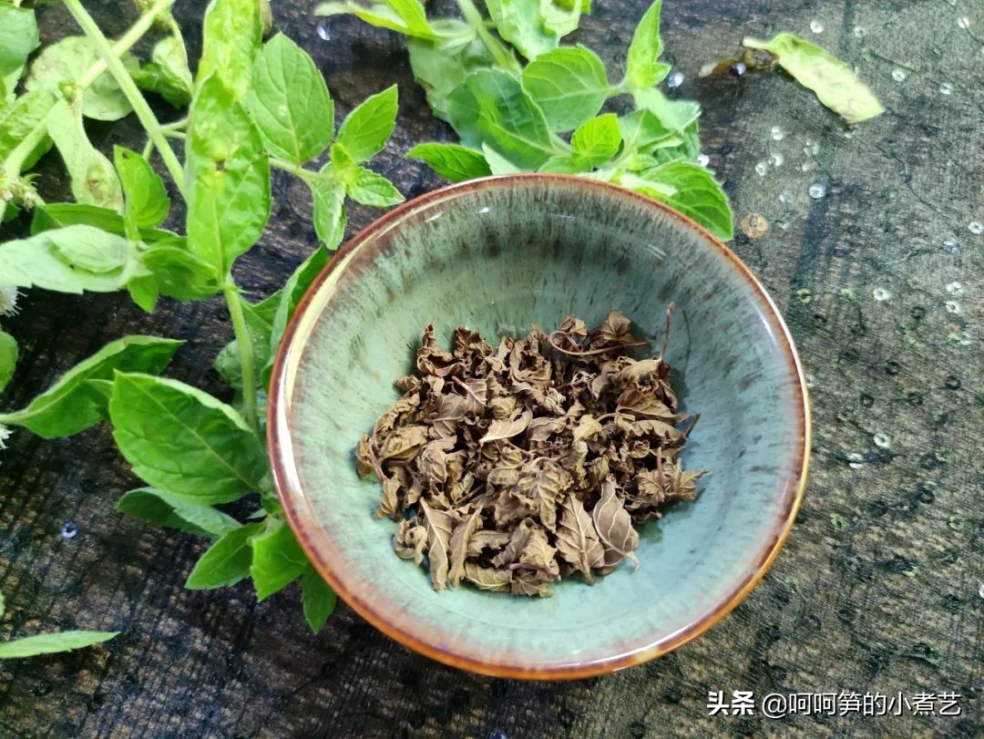 新鲜薄荷怎么弄茶,新鲜的薄荷叶怎么做才好吃