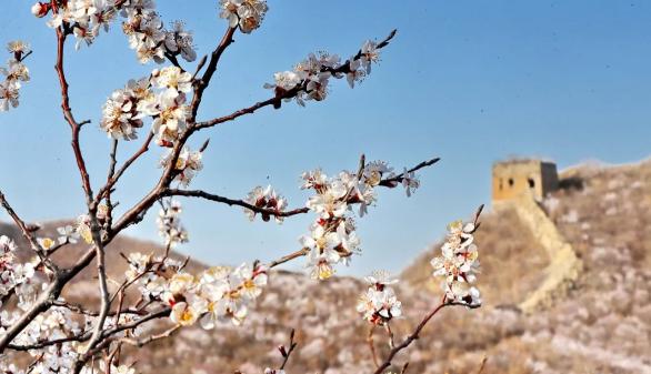 又是一年春光好完整版,又是一年春光好文明旅游