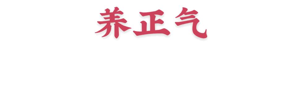 厦门市法院队伍教育整顿部署,法院教育整顿七大顽瘴痼疾