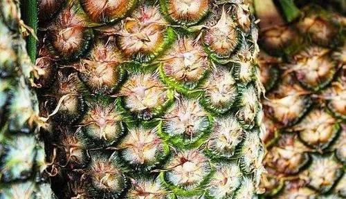 舌头上火最怕三种水果,最伤嘴巴的3种水果