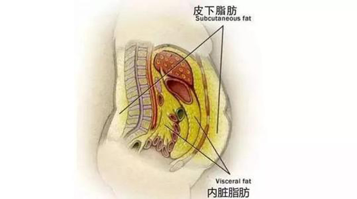 跑步和动感单车算不算练腿,动感单车和跑步哪个瘦腿