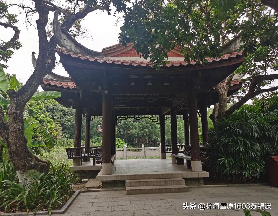 泉州芳草园最新消息,泉州芳草园附近风景