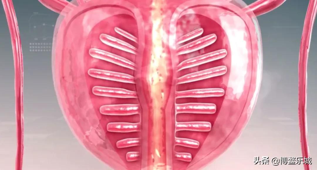 前列腺热疗消融技术只需8分钟让前列腺增生不再是“男题”