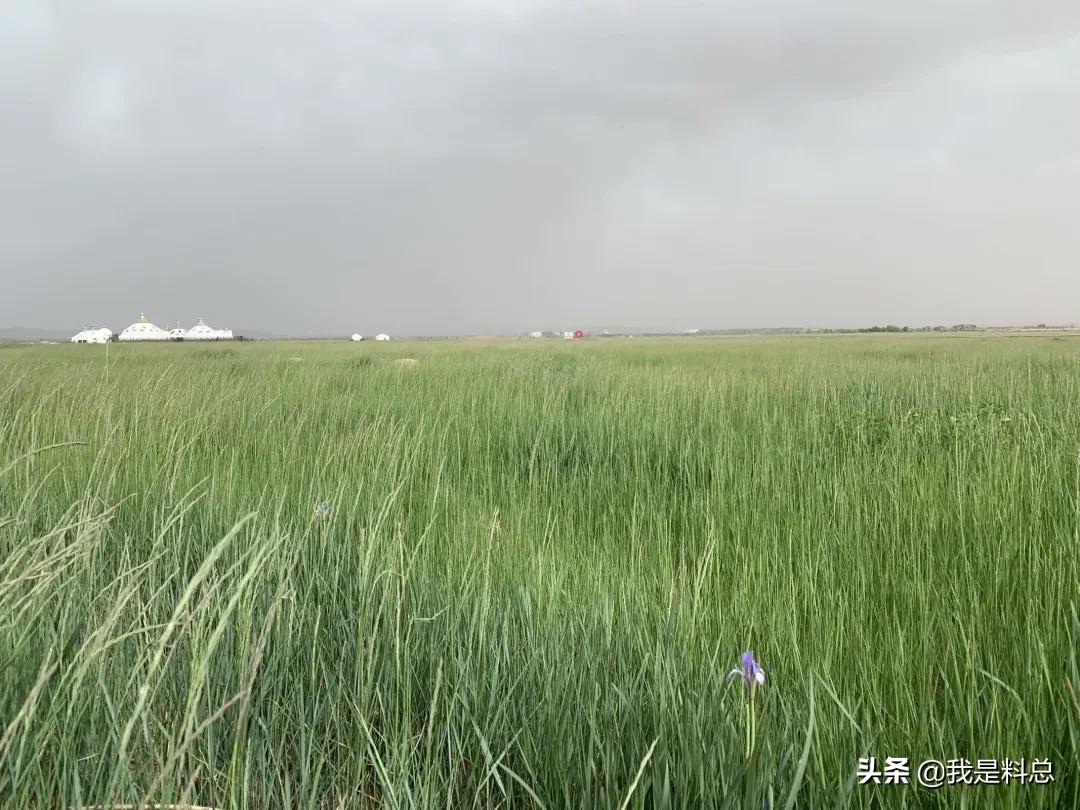 呼和浩特星期六出去玩的攻略,冬天去呼和浩特两日游