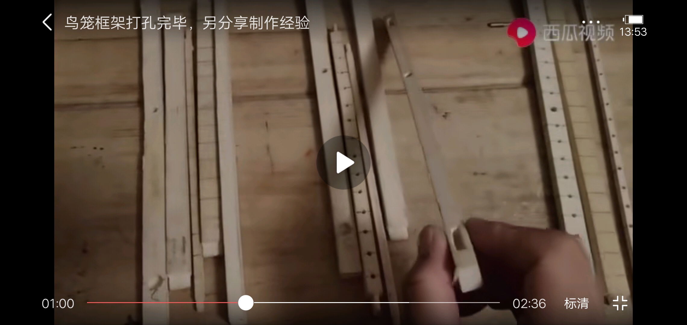 鸟笼制作,制作鹦鹉鸟笼