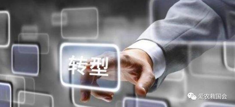 茶叶电商平台排行榜,茶叶电商批发怎么做得好