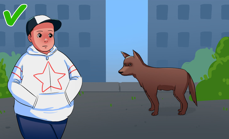 如果被流浪狗咬了怎么办,如果在路上遇见流浪狗怎么处理