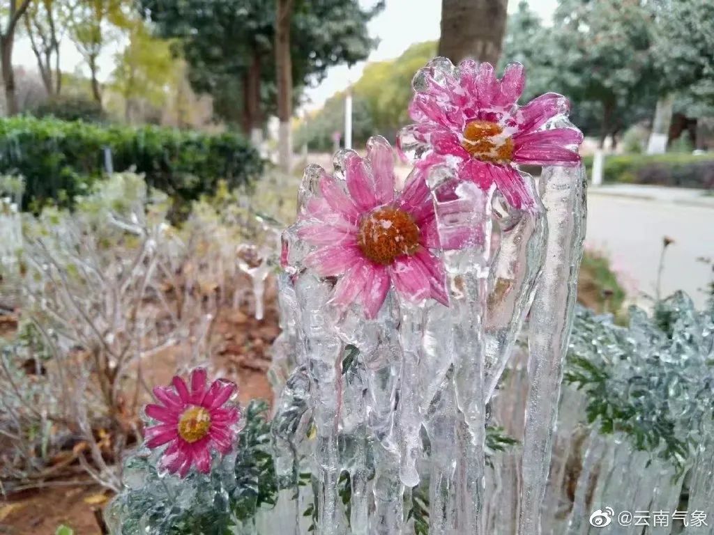 大寒潮小寒潮,寒潮带来大范围降雪
