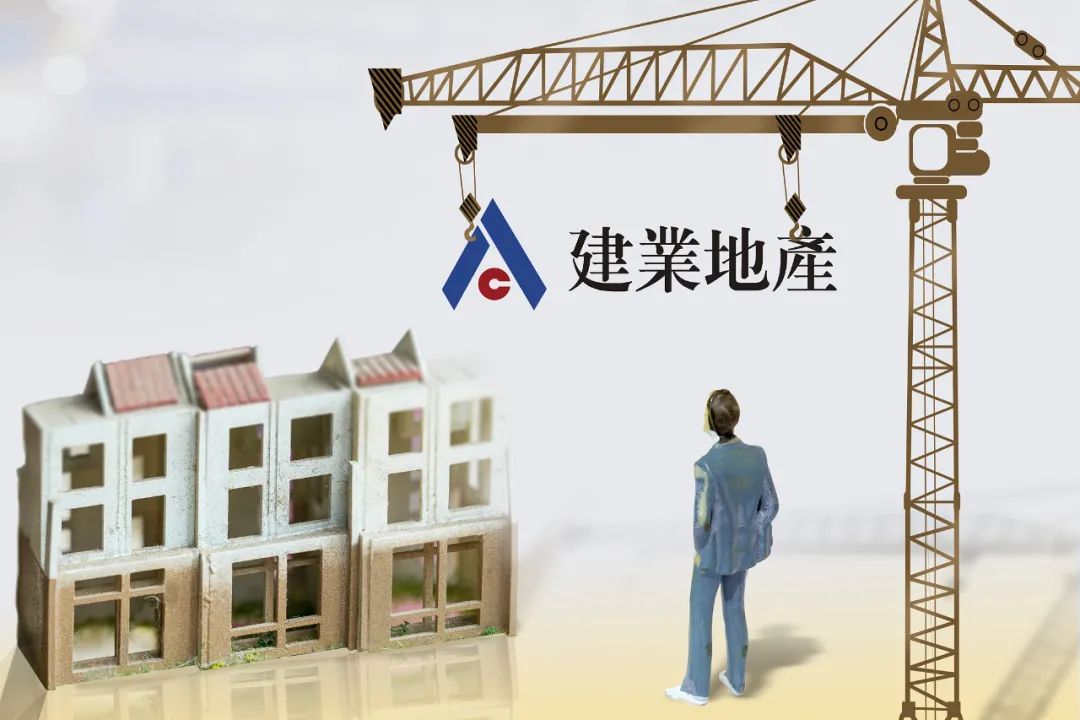 胡葆森与地产六君子,胡葆森负债多少钱