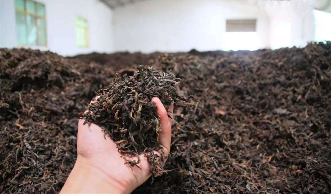 普洱茶紧压技术有哪些特点,普洱茶生茶紧压茶好坏之分