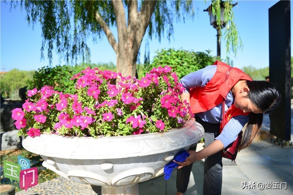 共建美丽家园文明实践活动照片,玉门市新时代文明实践队