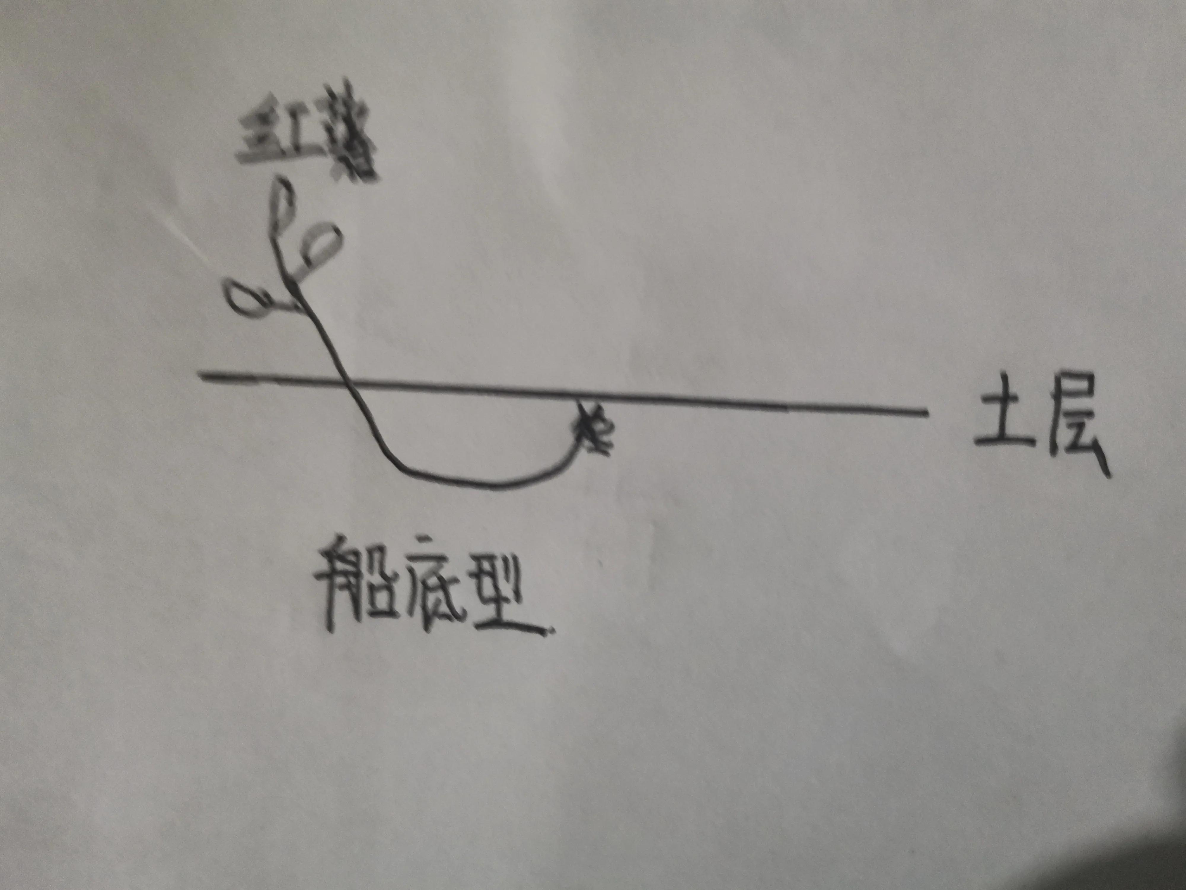 倒插苗技术提升红薯产量图片,红薯倒插苗种法