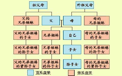 乡土中国费孝通完整版,乡土中国费孝通人情世故
