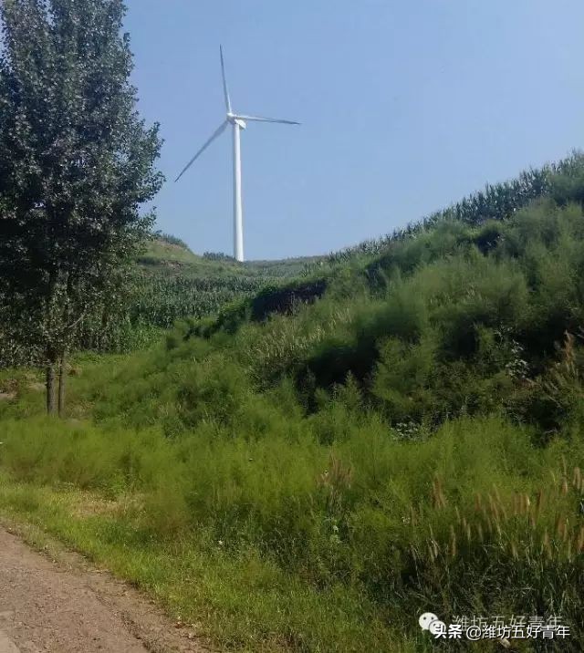 西行纪最后片段,西行纪第22天终结篇