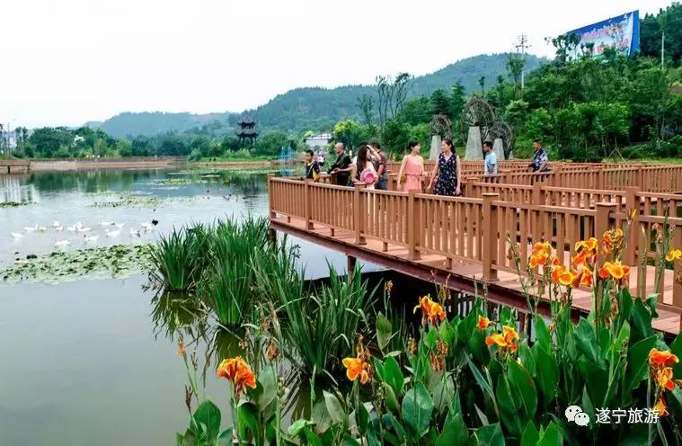 遂宁5天旅游攻略,遂宁旅游攻略自由行攻略