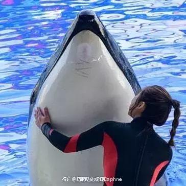 海洋馆的海洋动物表演,小孩子看的海洋动物视频