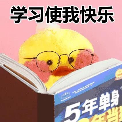 最美小学,海口优秀的小学