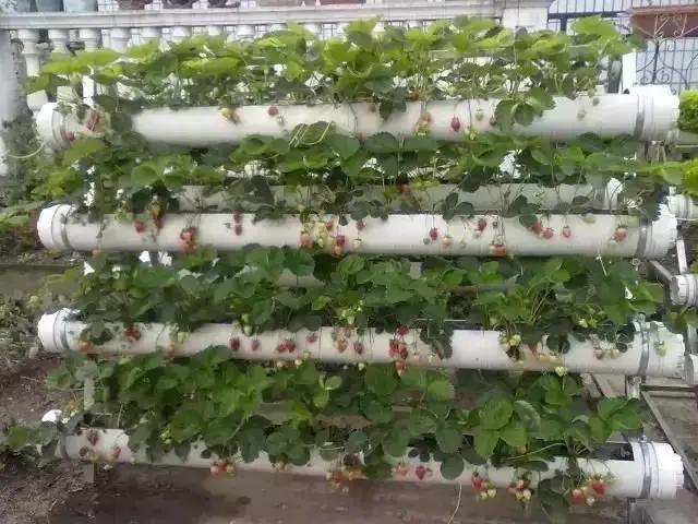 pvc管改造伸缩杆,旧pvc管翻新妙招