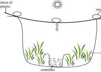 生存小技巧钻木取火,荒野生存取水技巧