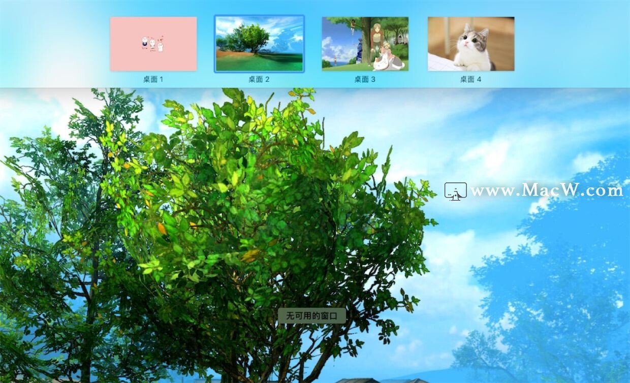 wallpaper壁纸文件夹看不到后缀,苹果壁纸设置教程小组件