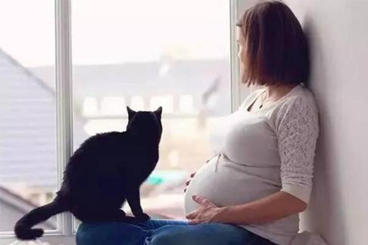 孕期能吃燕窝银耳羹吗,孕期能吃燕窝枸杞吗