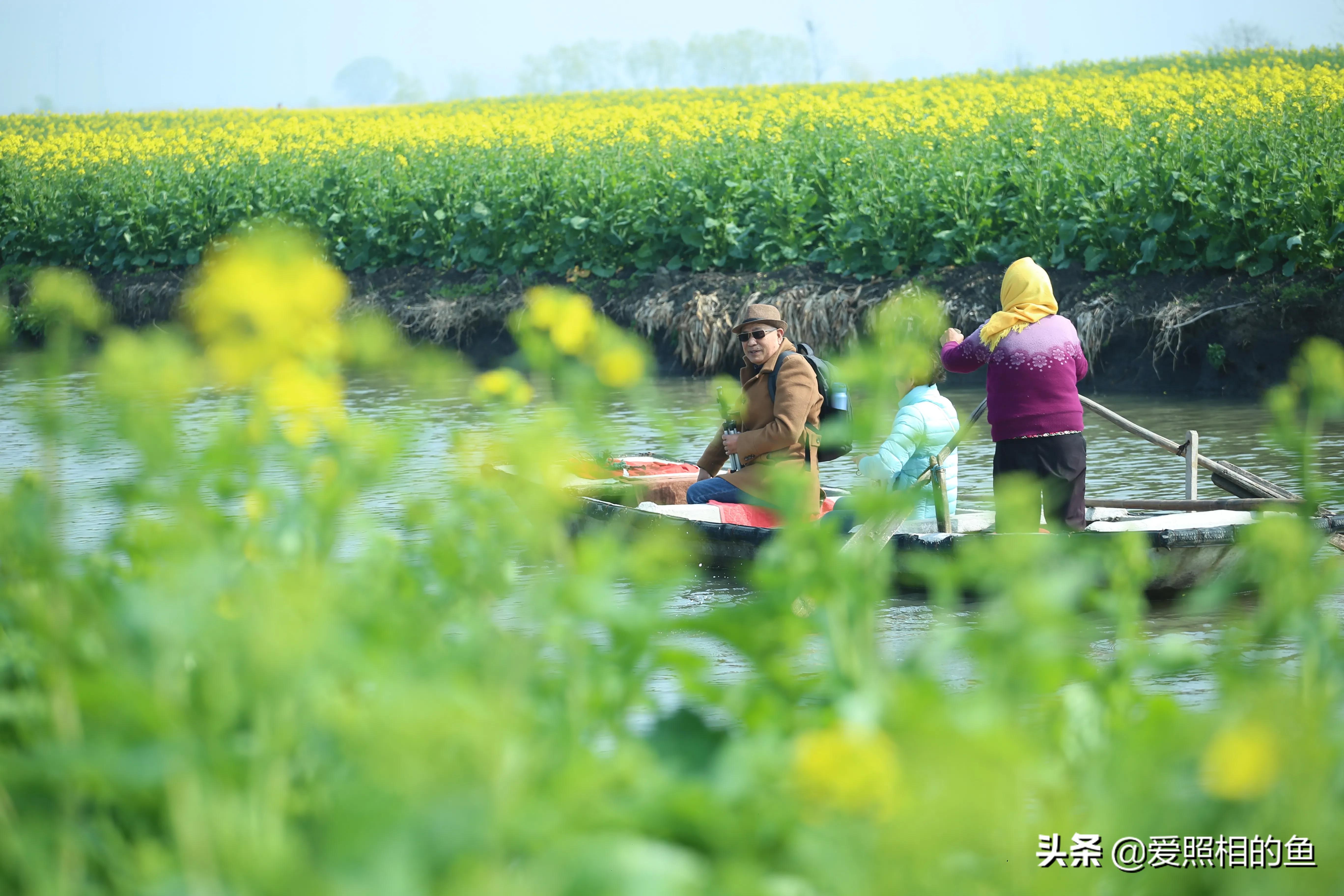 一个普普通通的小镇兴化,兴化为什么没有大城市的繁华