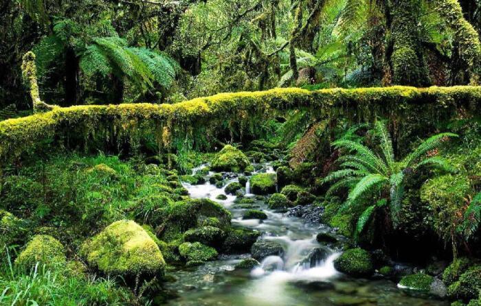 巴西为什么这么大,巴西和中国哪个大