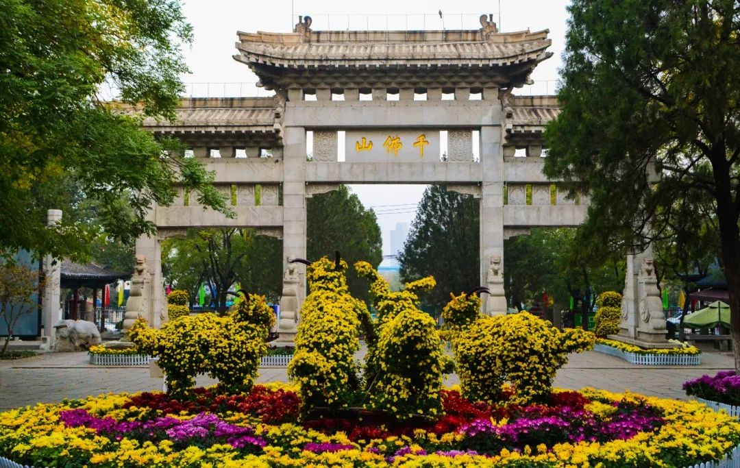 冬季山东旅行经典路线组合,秋冬山东省内旅游