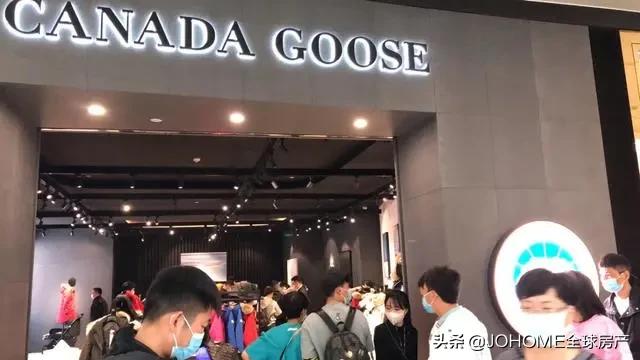 加拿大鹅羽绒服国内专卖店,加拿大鹅羽绒服为什么卖这么贵