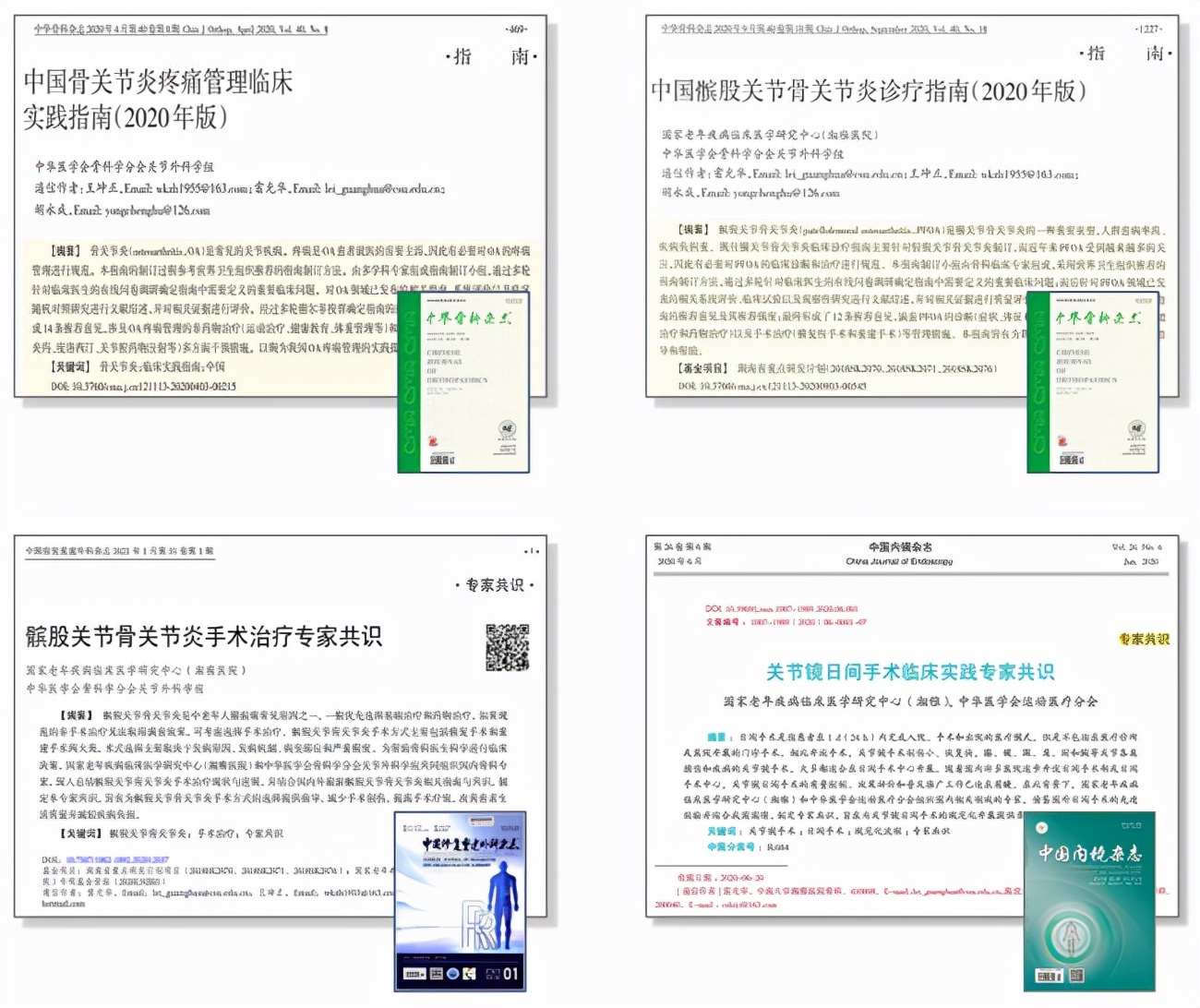 中国骨关节炎诊疗指南,雷光华骨科专家