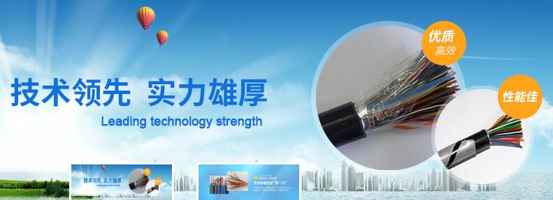 天津市电缆总厂第一分厂,天津市第一电缆厂官网