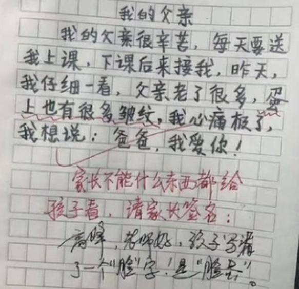 我眼中的爸爸小学作文,我最讨厌的人爸爸优秀作文