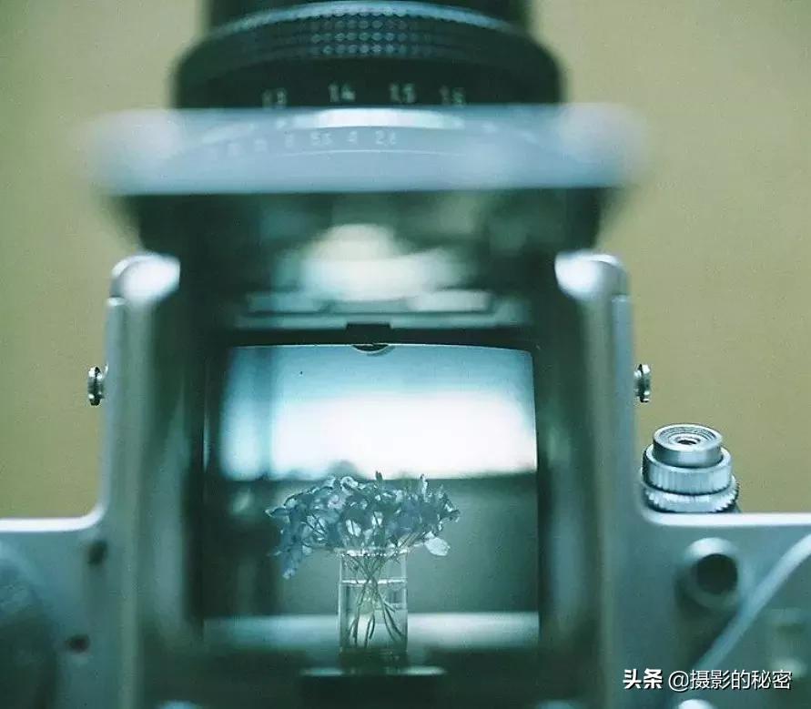 世界顶级摄影师的经典摄影作品,全球100位摄影师分享