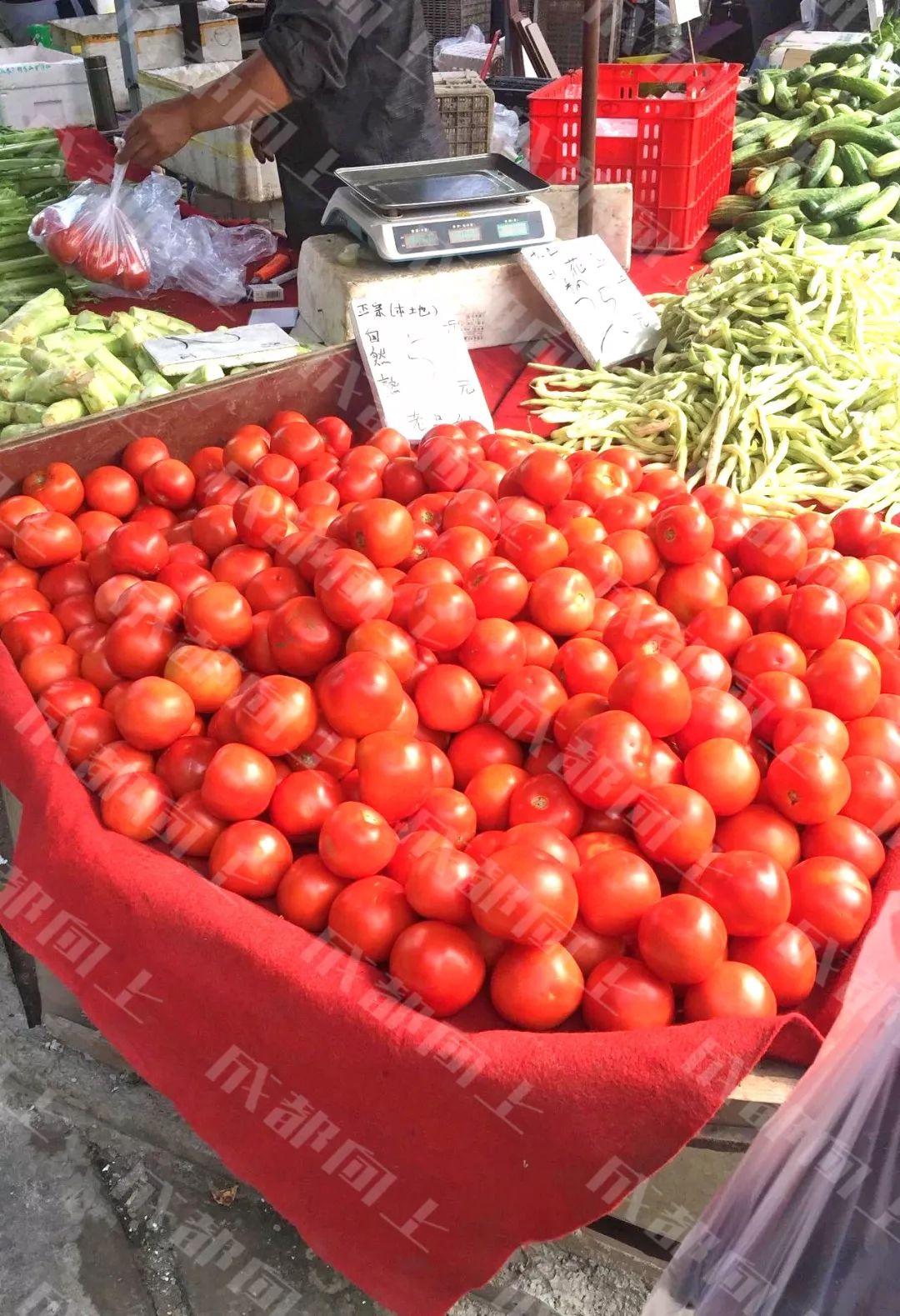 双十一优惠力度空前,双十一物价和平时的差别