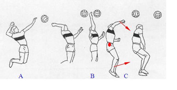 击球挥拍收力,击球的基本环节顺势挥拍