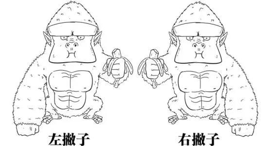 左撇子真的比一般人聪明吗,左撇子真的聪明一些吗