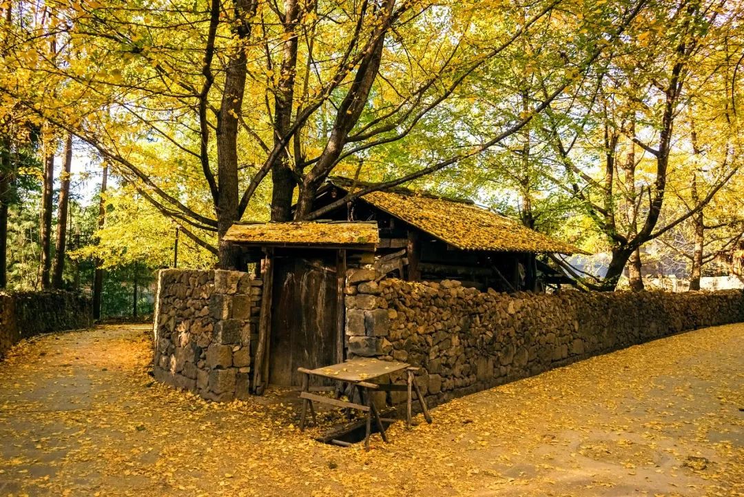 上海去腾冲有直飞的航班吗,北京直飞腾冲旅行攻略路线