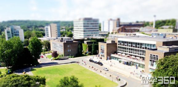 斯旺西大学相当于国内什么大学,为什么大家都爱美式咖啡