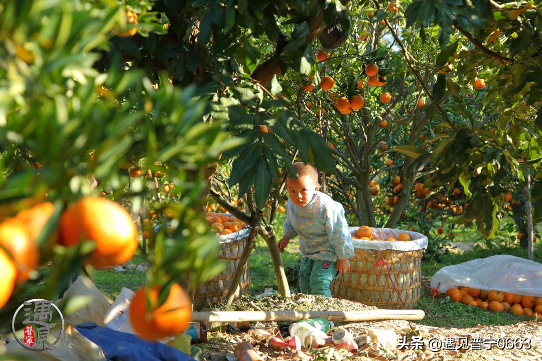 遇见小时候的美好,潮汕普宁的童年